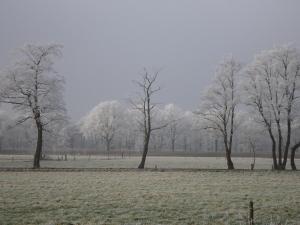 Bed & Breakfast El Manso