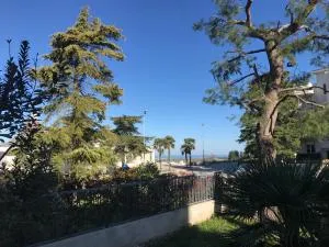 Il Rhybasteinon - Terlizzi