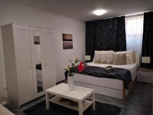 Apartement Luxury Basement in the surrounding of Budapest Mogyoród Ungari