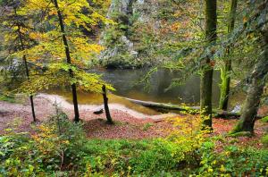 Appartements Meuble pour 5 pers – Hautes Vosges : photos des chambres