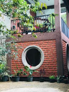 The Hobbit Cottage-Ella