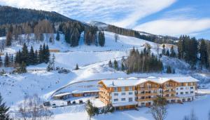 Apartement Skylodge Alpine Homes Haus im Ennstal Austria