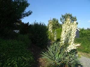 Turm im Blick
