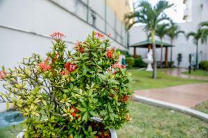 Oh Vida Boa Apto de 2 quartos com vista para o mar. Cond. Ahead Ponta Negra.