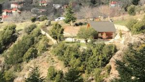 Chalet in the Forest Achaia Greece