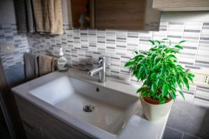 Appartamento Camisa - Il Gelso img19