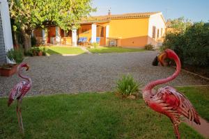 Appartamento Camisa - Il Gelso img36