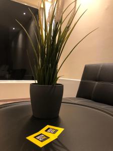 DISTRiCT 01-Luxury Urban Lofts