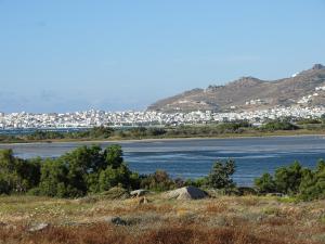 Gratsias Luxury Apartments Naxos Greece