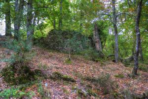 Maisons d'hotes La Bastide d'Albignac : photos des chambres