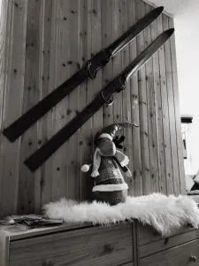 Chalet Fiocco di neve, Passo del Tonale - Tonale