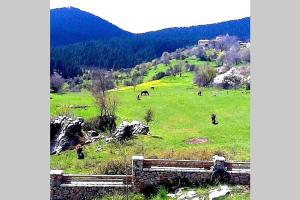 Elati Hills Arkadia Greece