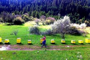 Elati Hills Arkadia Greece