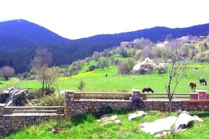 Elati Hills Arkadia Greece