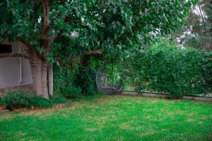 Appartamento Camisa - Il Gelso img33