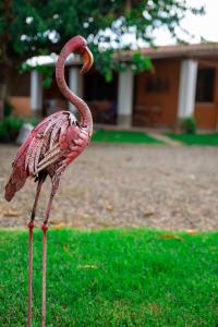 Appartamento Camisa - Il Gelso img30