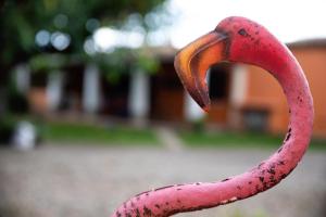 Appartamento Camisa - Il Gelso img31