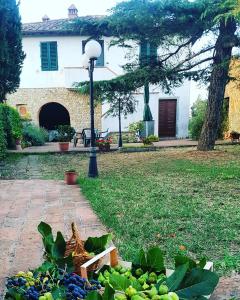 Agriturismo SantEllero