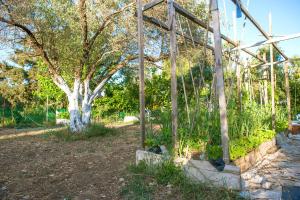 Oliveyard Stone Built House- with pool non chlorin Rhodes Greece