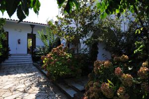 Dionisos Studios and Apts Skiathos Skiathos Greece