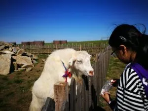 Hulunbeir Grassland and Farm Youth Hostel - Ergun