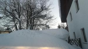 Haus Haidweg - Ferienwohnungen in Haidmühle im Dreiländereck DE-CZ-AT