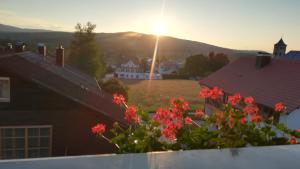 Haus Haidweg - Ferienwohnungen in Haidmühle im Dreiländereck DE-CZ-AT