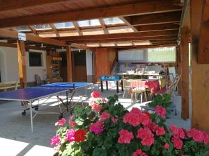 Ferienwohnungen Oranhof