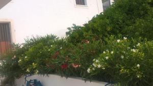 GYROULI 1 Astypalaia Greece