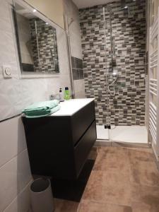 Appartements Studio moderne Argeles sur mer.La plage a pieds, Espagne a 30mn : photos des chambres
