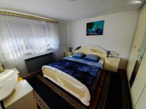 Apartman Goran - 130m Radiochirurgia