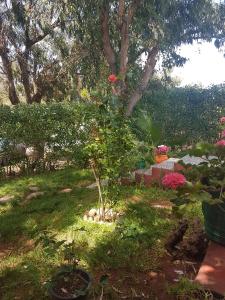 Location Vacances Casablanca Tamaris