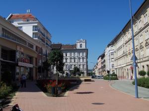 Apartment Sinkó - FREE GARAGE PARKING, central, 2 bedrooms 4 single beds, flexi check-out