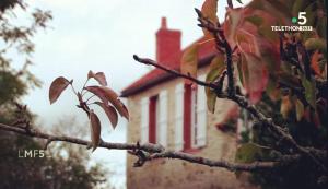 Maisons de vacances La Motte : photos des chambres