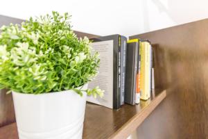 Apartamentos La Rosa I Acogedor Apto a 2 Min del Pilar