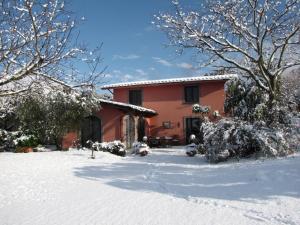B&B Ai Glicini - Castelli Romani