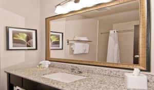 Corner King Room room in Holiday Inn Austin Airport an IHG Hotel