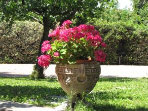 B&B Ai Glicini - Castelli Romani