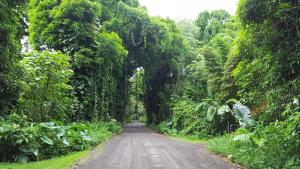 Hale O Nani Mala Pua home