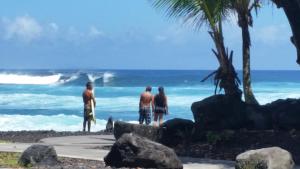 Hale O Nani Mala Pua home