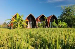 克拉玛冲浪营地旅馆 - 苏卡瓦提