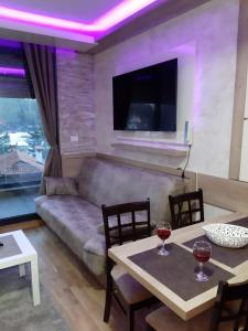 Zlatibor apartmani centar studio