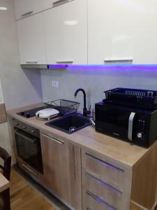 Zlatibor apartmani centar studio