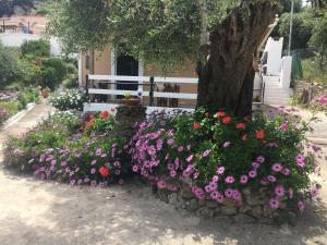 Villa Stephanie Corfu Greece