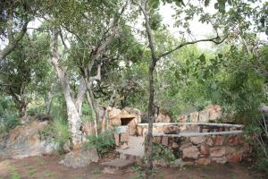 Izintaba Private Game Reserve Waterberg