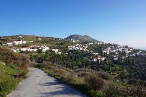 AEGEAN VIEW Andros Greece