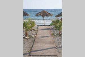 Manos Seaside Apartment *Free Parking *A/C Lasithi Greece