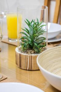 Meu Cantinho em Cascais