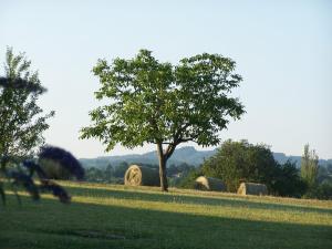 Sejours a la campagne Domaine de Granval Chambres d'Hotes : Chambre Lits Jumeaux