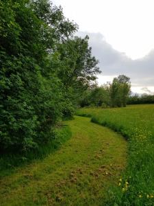 Lodges Shanti Lac Cabanes gites insolites et espace bien-etre Bordeaux : photos des chambres